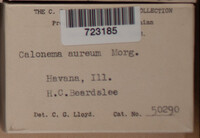 Image Associated With the Occurence